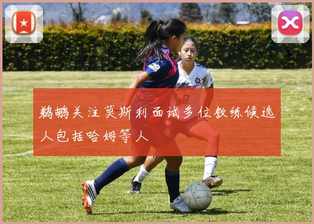 鹈鹕关注莫斯利面试多位教练候选人包括哈姆等人