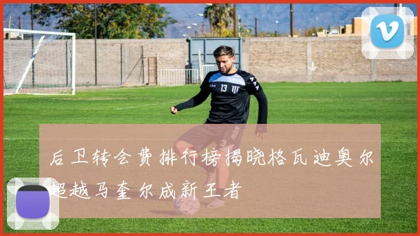后卫转会费排行榜揭晓格瓦迪奥尔超越马奎尔成新王者